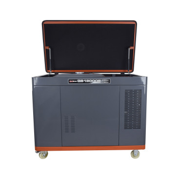 Генератор бензиновый EVOline QB 12003 E