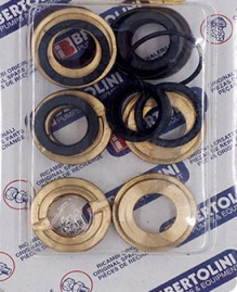 Ремкомплект Bertolini KIT180 (упл. плунжеров со ст. кольцами, TAM)