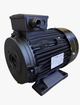 Электродвигатель Titan (22кВт, 380/220В, 1450об/мин, п.в. 24мм, Dфл 87мм, H160)