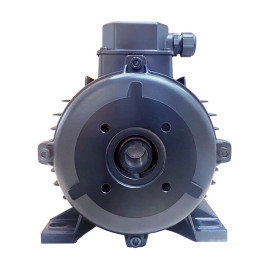 Электродвигатель Melegari Luigi (5.5кВт, 380В, 1450об/мин, п.в. 24мм, Dфл 87мм, H112)