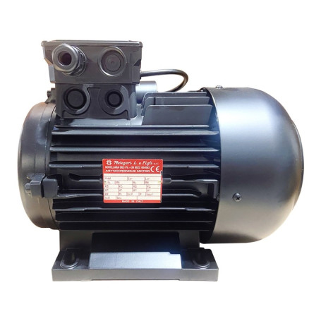 Электродвигатель Melegari Luigi (5.5кВт, 380В, 1450об/мин, п.в. 24мм, Dфл 87мм, H112)
