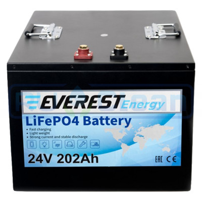 Тяговый аккумулятор Everest Energy (24В, 202Ач, LiFePO4)