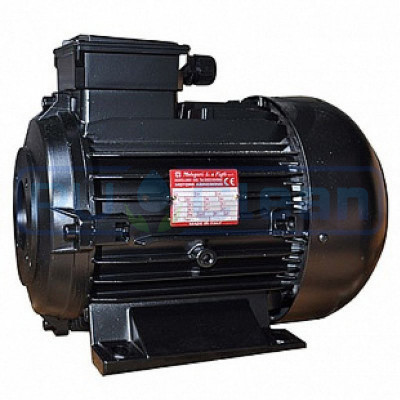 Электродвигатель Melegari Luigi (4кВт, 380В, 1450об/мин, п.в. 24мм, Dфл 75мм, H100)
