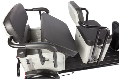 Трицикл электрический Wanshida LC300 (60V, 1000W, черный) (0000310-3075)