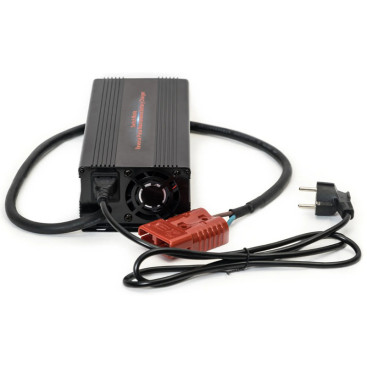 Зарядное устройство EVEREST Energy (24В, 20А, для LiFePO4 АКБ)