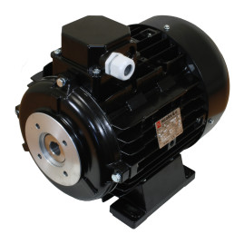 Электродвигатель Nicolini (4.0кВт, 380В, 1450об/мин, п.в. 24мм, Dфл 75мм, H100)