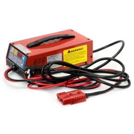 Зарядное устройство EVEREST Energy (24В, 50А, для LiFePO4 АКБ)