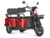 Трицикл электрический Wanshida LC-F150 (60V, 1000W, красный) (0000315-3080)