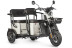 Трицикл электрический Wanshida LC300 60V 1000Вт (серый) (025552-3077)