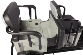 Трицикл электрический Wanshida LC300 60V 1000Вт (серый)