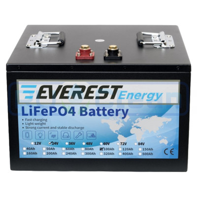 Тяговый аккумулятор Everest Energy (24В, 100Ач, LiFePO4)