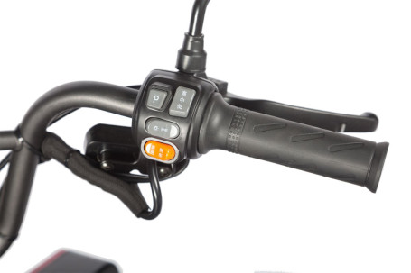 Трицикл электрический Wanshida LC-F200 (60V, 1000W, серый) (0000320-3082)