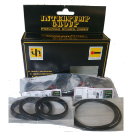 Ремкомплект IPG KIT299