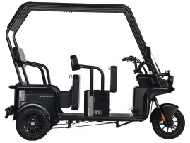 Трицикл электрический Wanshida NIPLA 570 60V 1000Вт (серый)