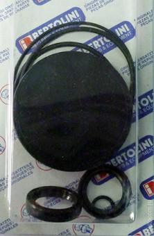 Ремкомплект Bertolini KIT210 (уплотнители, RA/P/RX)