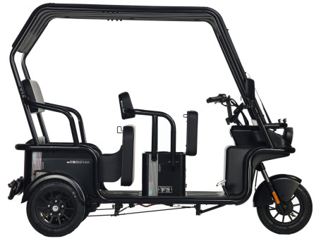 Трицикл электрический Wanshida NIPLA 570 60V 1000Вт (зеленый) (025565-3089)