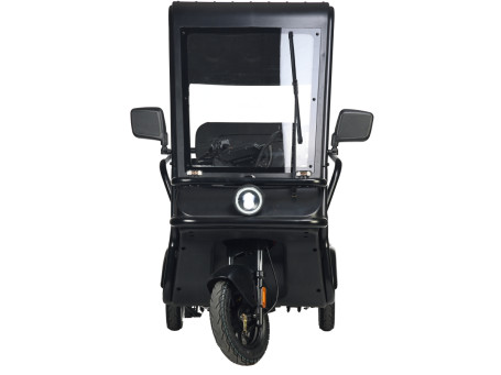 Трицикл электрический Wanshida NIPLA 570 60V 1000Вт (зеленый) (025565-3089)