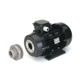 Электродвигатель Nicolini (9.2кВт, 380В, 1450об/мин, п.в.24мм, H132, с муфтой)