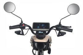 Трицикл электрический Rutrike Gelbert Atlas (48V/60V, 600 Вт, красный)