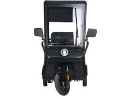 Трицикл электрический Wanshida NIPLA 570 (60V, 1000W, черный)