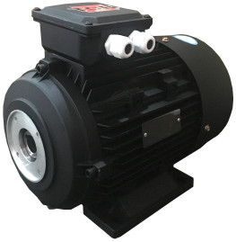 Электродвигатель TOR 14900 (7.5кВт, 380В, 1450об/мин, п.в. 24мм, Dфл 87мм, H132)