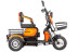 Трицикл электрический Rutrike Бумеранг (оранжевый) (022656-3240)