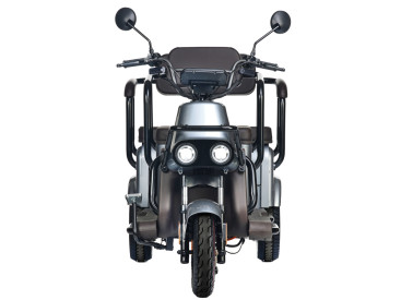 Трицикл электрический Wanshida U1-X (60V, 800W, серый)