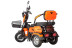 Трицикл электрический Rutrike Бумеранг (золотистый) (022656-3243)