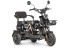 Трицикл электрический Wanshida UN MOTO 60V 650Вт (черный) (025578-3102)