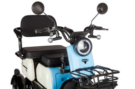 Трицикл электрический Rutrike Вега (красный)