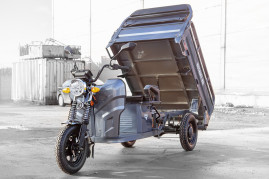Трицикл электрический Rutrike Мастер 1500 60V 1200W (серый)